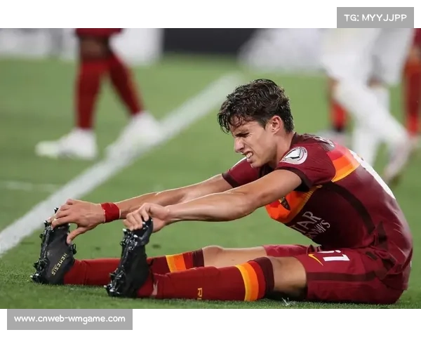 意甲反歧视倡议推进，球场安全措施升级