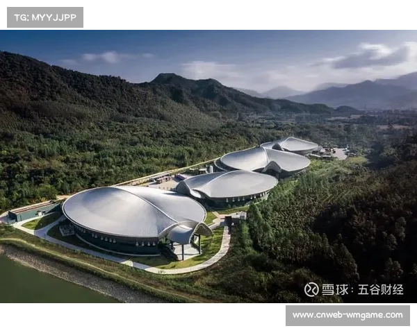 赛事认证体系完善，质量保证机制建立